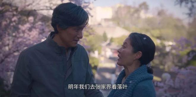 为什么太行山上长满了韩国人？